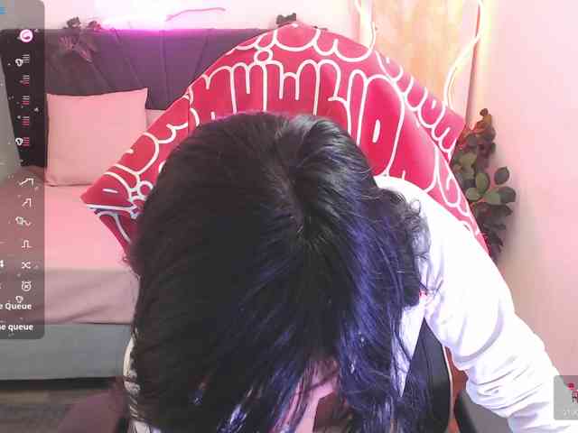 Palmerfox-tay webcam
