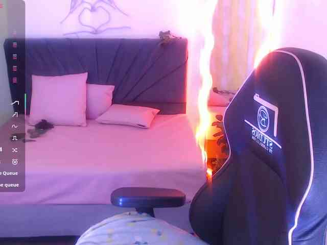 Palmerfox-tay webcam