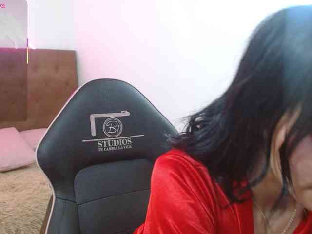 Palmerfox-tay webcam