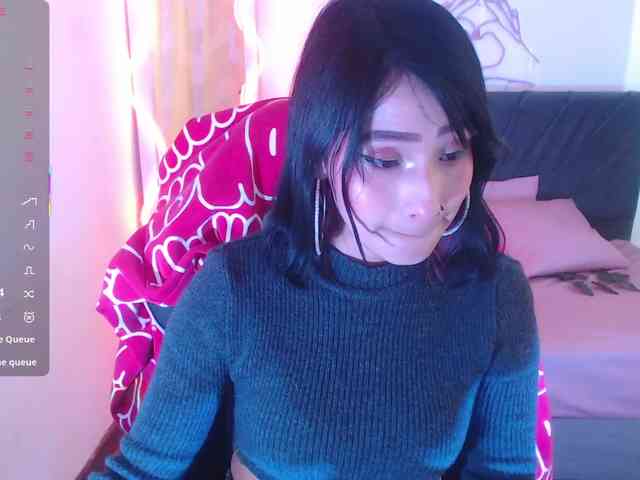 Palmerfox-tay webcam