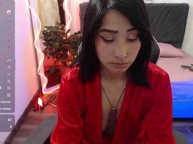 Palmerfox-tay webcam