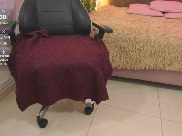 Palmerfox-tay webcam