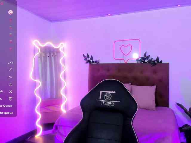 Palmerfox-tay webcam