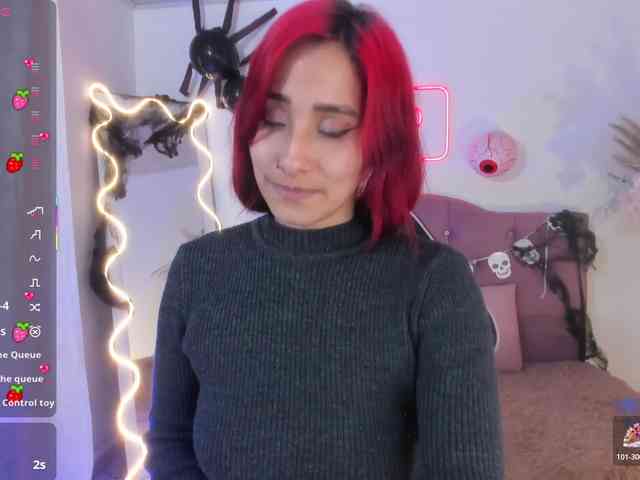 Palmerfox-tay webcam