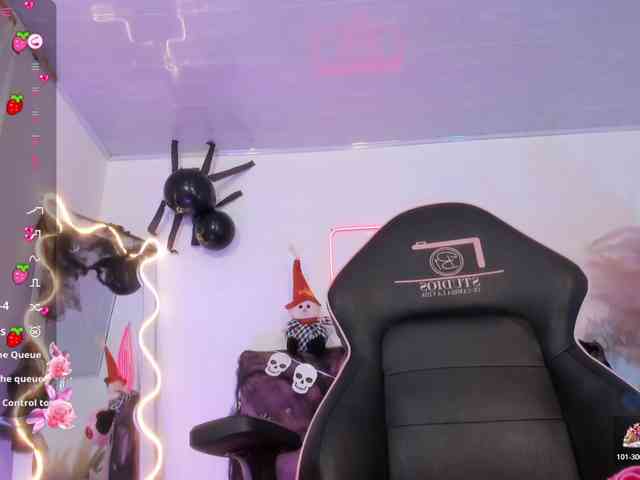 Palmerfox-tay webcam