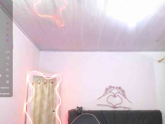 Palmerfox-tay webcam
