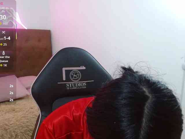 Palmerfox-tay webcam