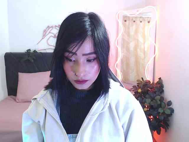 Palmerfox-tay webcam