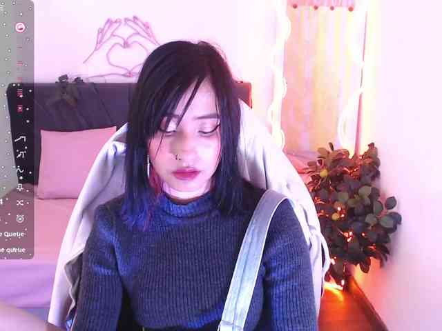 Palmerfox-tay webcam