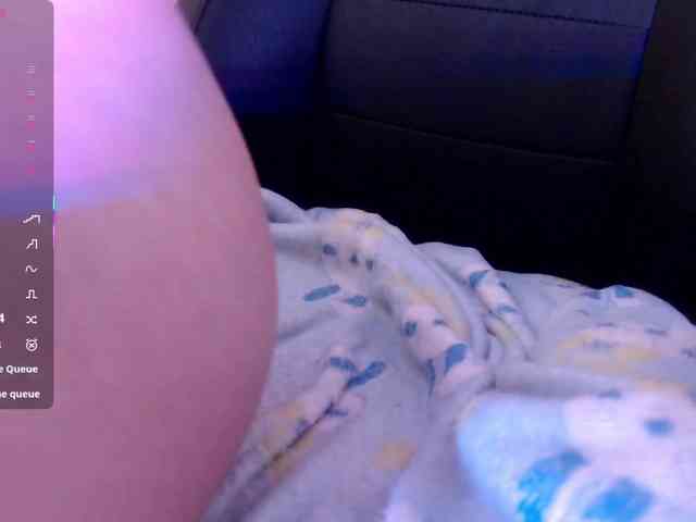 Palmerfox-tay webcam