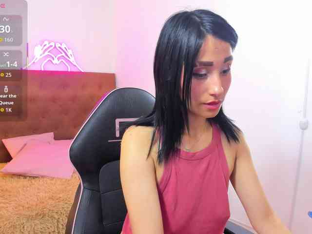 Palmerfox-tay webcam