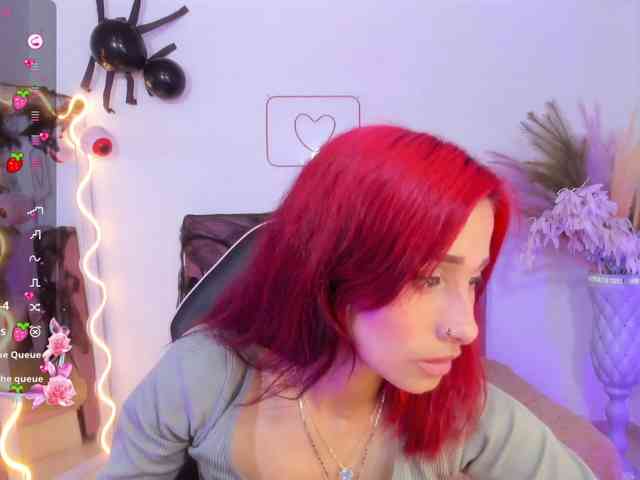 Palmerfox-tay webcam