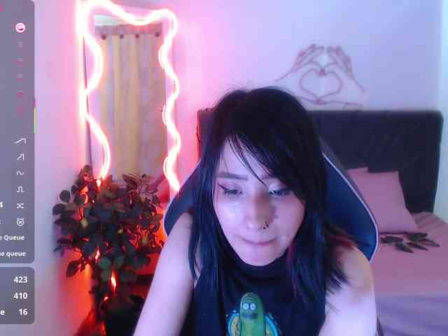 Palmerfox-tay webcam