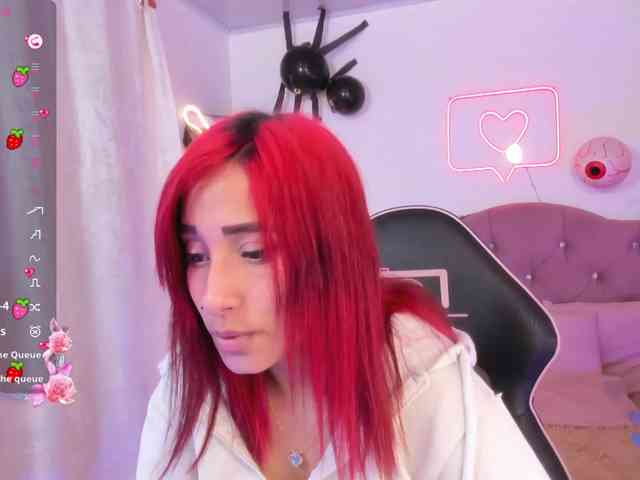 Palmerfox-tay webcam