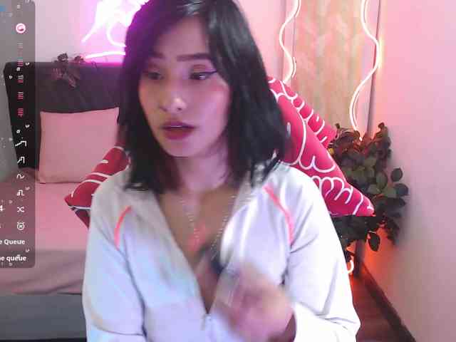 Palmerfox-tay webcam