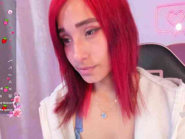 Palmerfox-tay webcam