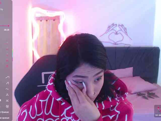 Palmerfox-tay webcam