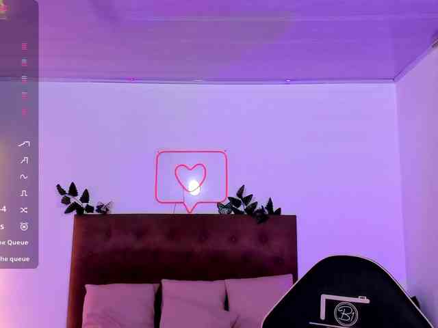 Palmerfox-tay webcam