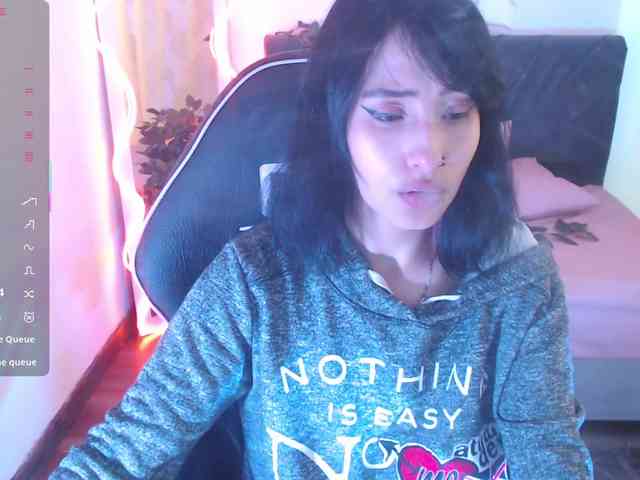 Palmerfox-tay webcam