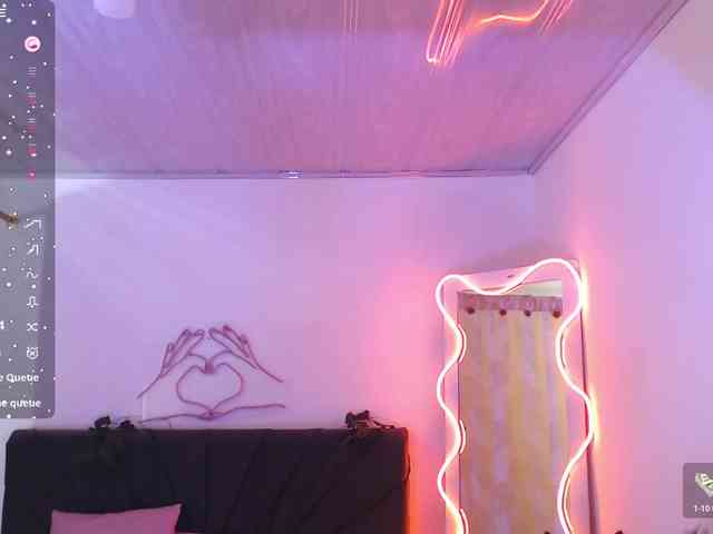 Palmerfox-tay webcam