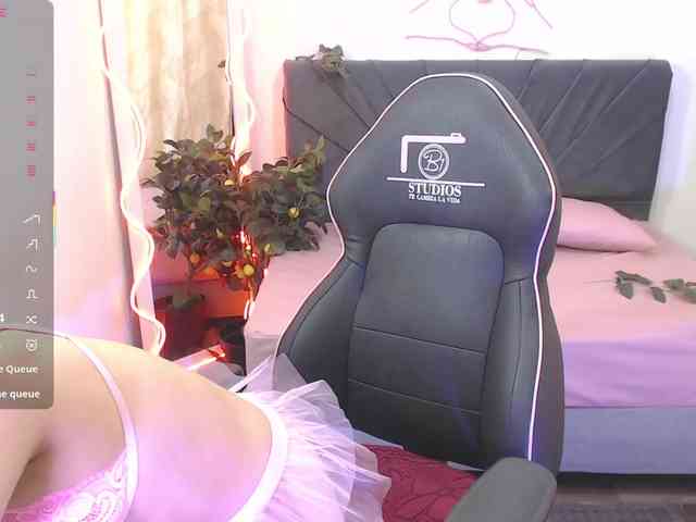Palmerfox-tay webcam
