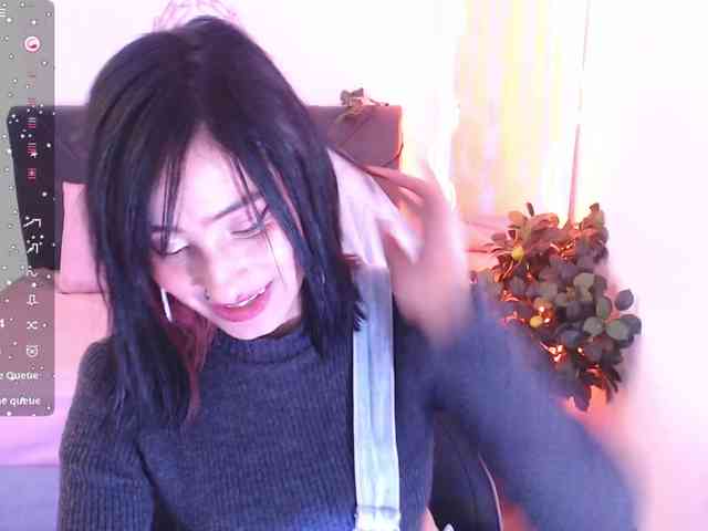 Palmerfox-tay webcam