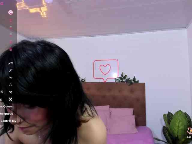 Palmerfox-tay webcam