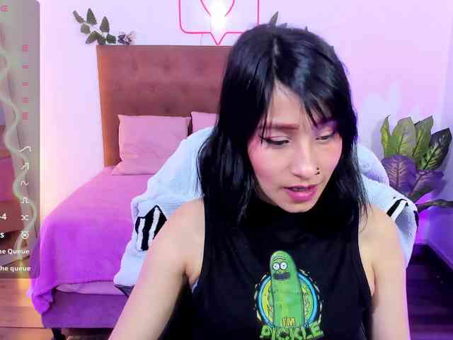 Palmerfox-tay webcam