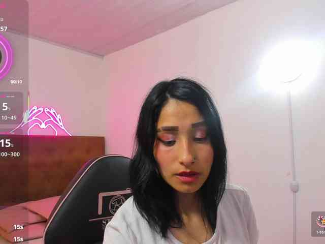 Palmerfox-tay webcam