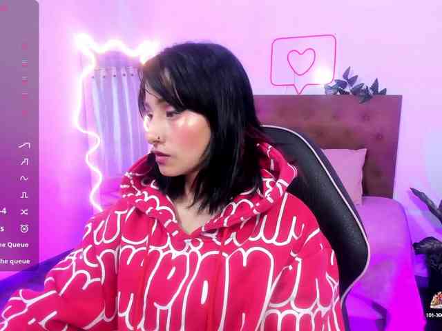 Palmerfox-tay webcam