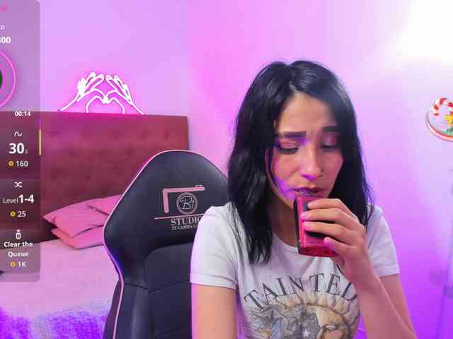 Palmerfox-tay webcam