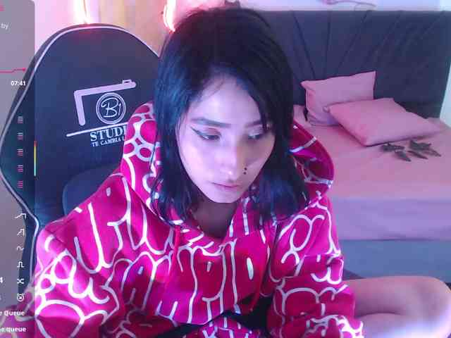 Palmerfox-tay webcam