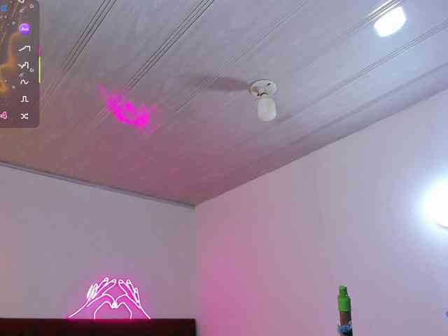 Palmerfox-tay webcam