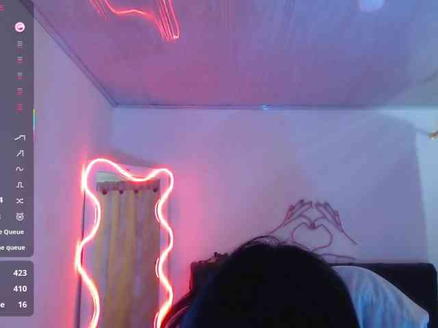 Palmerfox-tay webcam