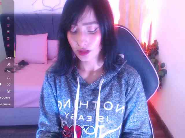 Palmerfox-tay webcam