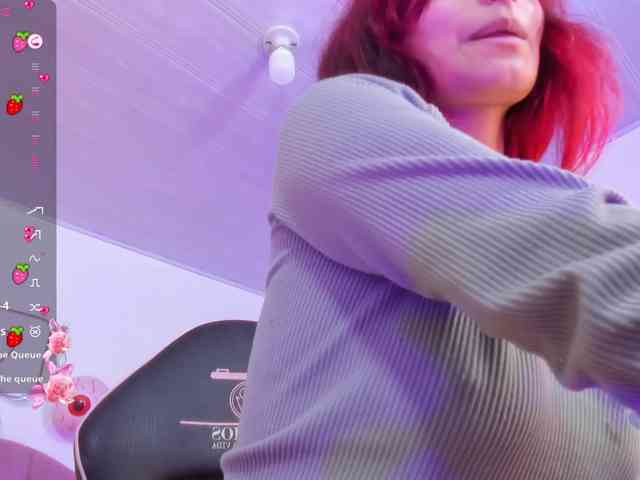 Palmerfox-tay webcam