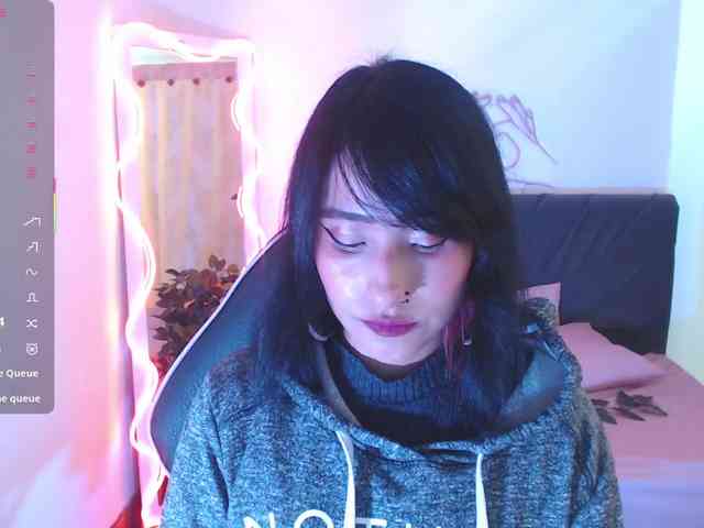 Palmerfox-tay webcam