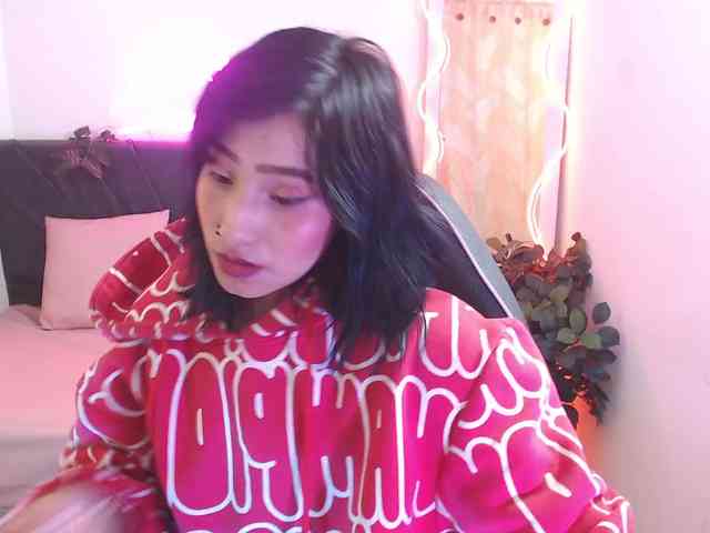 Palmerfox-tay webcam