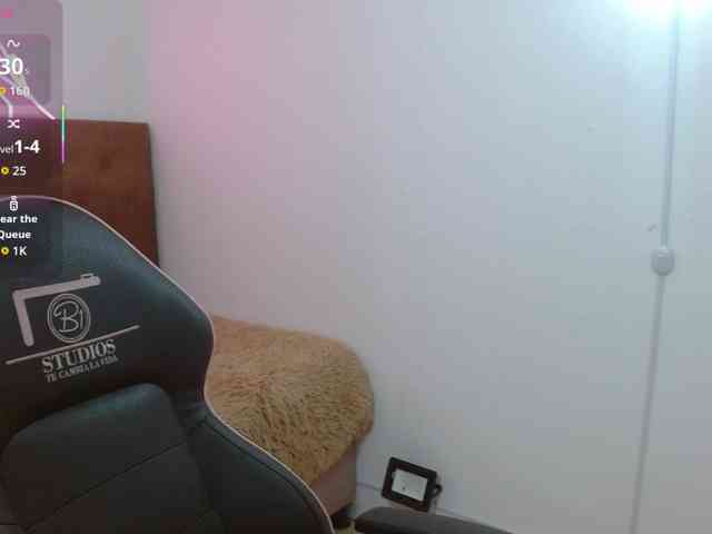 Palmerfox-tay webcam