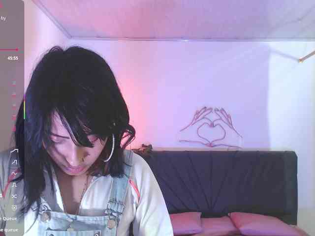 Palmerfox-tay webcam