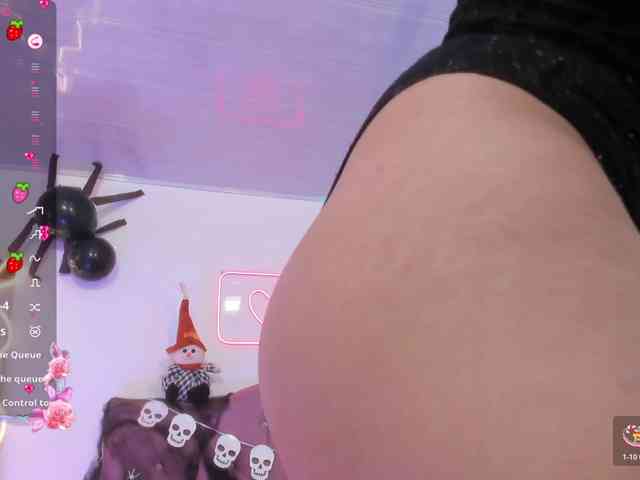 Palmerfox-tay webcam