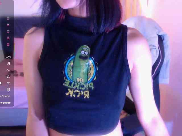 Palmerfox-tay webcam