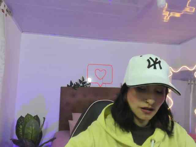 Palmerfox-tay webcam