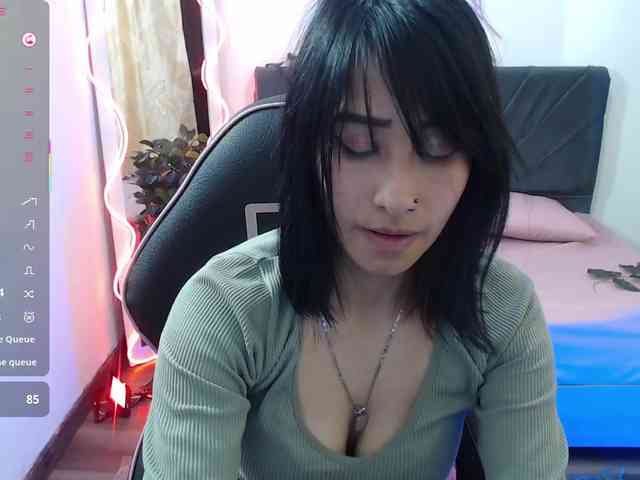 Palmerfox-tay webcam