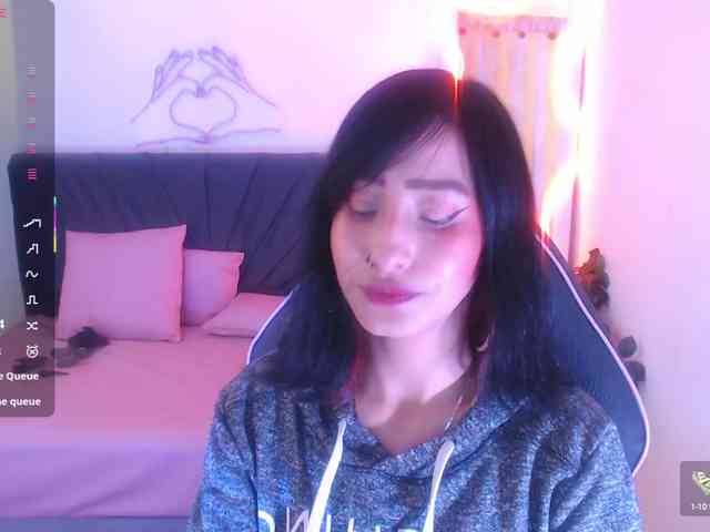 Palmerfox-tay webcam