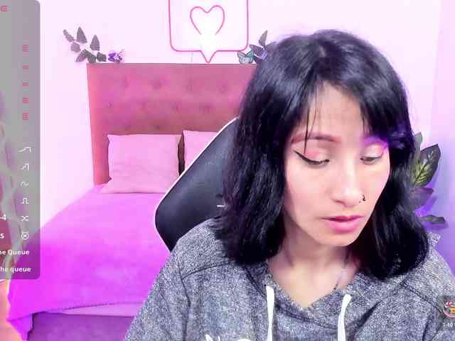 Palmerfox-tay webcam