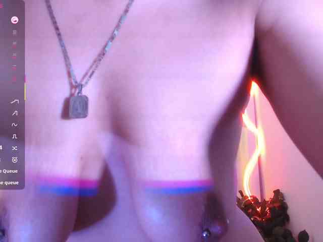 Palmerfox-tay webcam