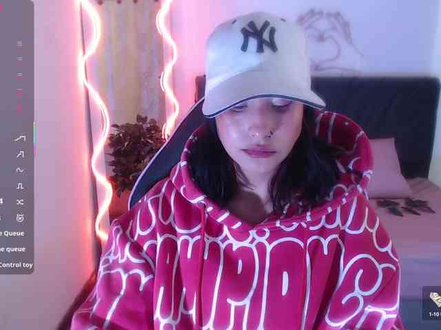 Palmerfox-tay webcam