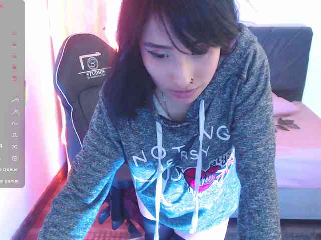Palmerfox-tay webcam