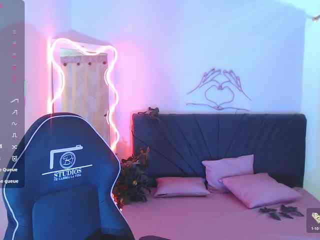 Palmerfox-tay webcam